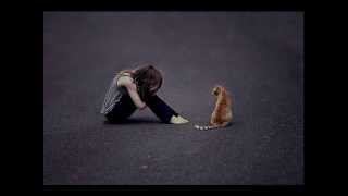 Marcia Ball - Lazy Blues