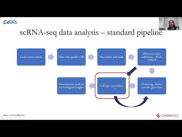 Cell Type Annotation Tutorial