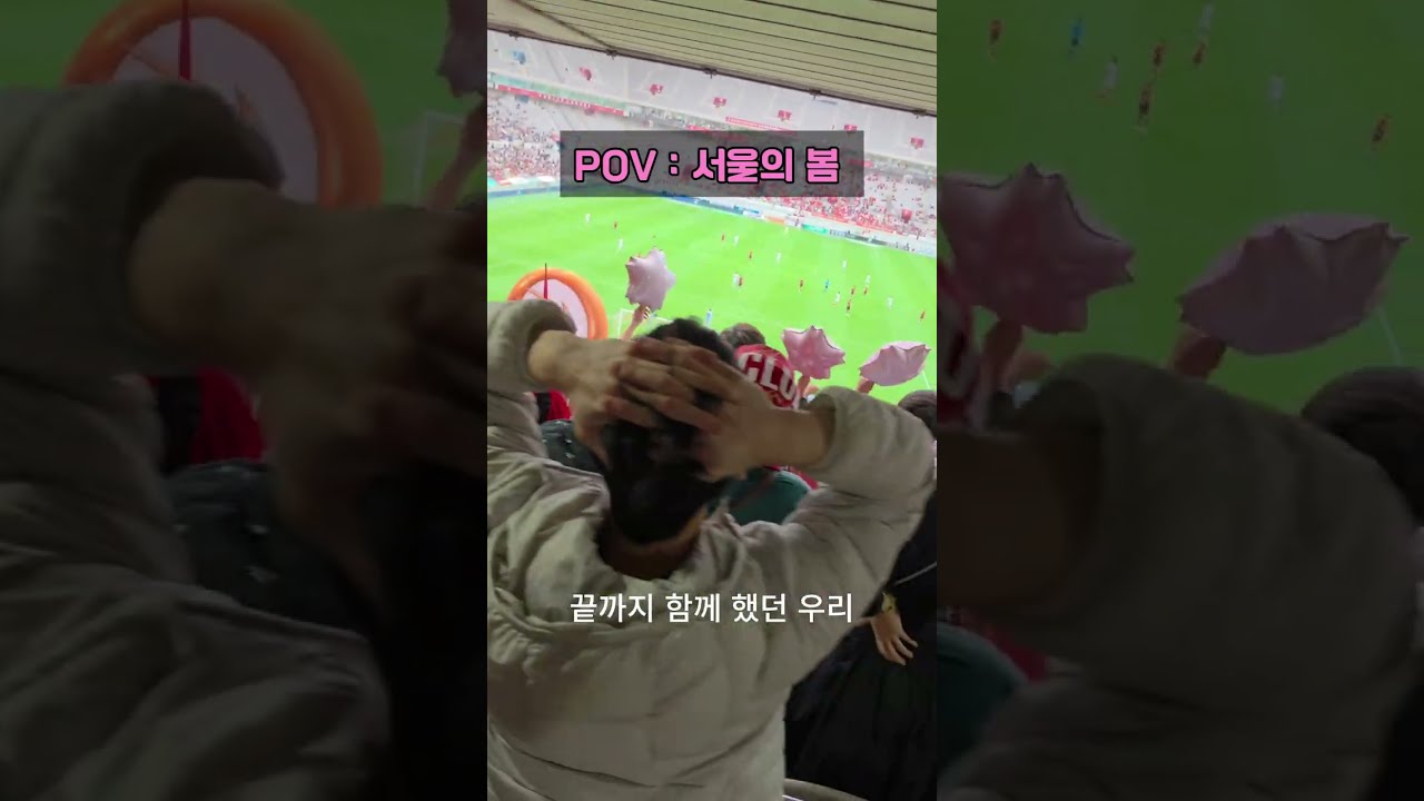 10년만에 리그 탈환한 챔피언  FC서울 #k리그 #fc서울 #강원fc #축구 #축구분석 #우승