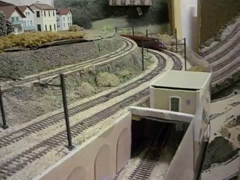 ultimi test castano isabella