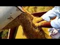 KAVERIYA KALANCHINA RITHA E URINA CHIRA SHANTIYA DUTHA KANNADA STATUS
