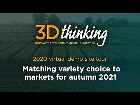 3D Thinking - Virtual plot tour 2020: Matching variety choice to markets for autumn 2021