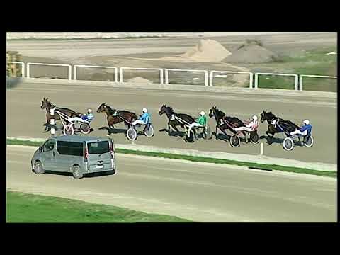 Trotto 13/12/2020 - 1ª corsa