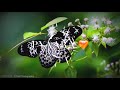 Dekha Tumko Jabse Bs Dekha Tumko Yara Romantic WhatsApp Status