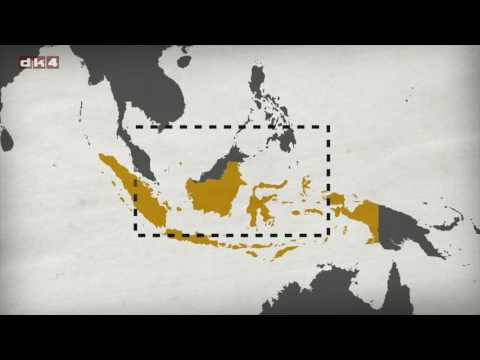 SOS Borneo - Genskab regnskoven