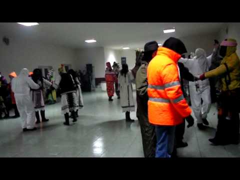 Carbunari fasang 2011 1