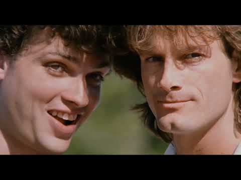 TIBURÓN 5 (CRUEL JAWS, 1995)