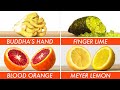 Trying Every Type Of Citrus The Big Guide Epicurious