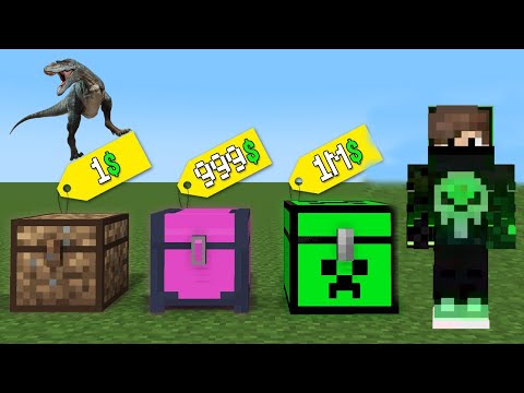 1$ VS 999$ VS 1M$ SANDIK!😱😱 - Minecraft
