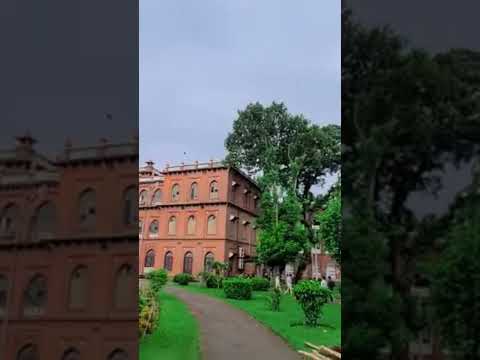 Love you du #foryou #shorts #bairal