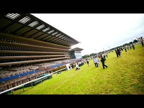 2017.06.25第58回宝塚記念(G1)芝コース開放(馬場開放)⑥＠東京競馬場