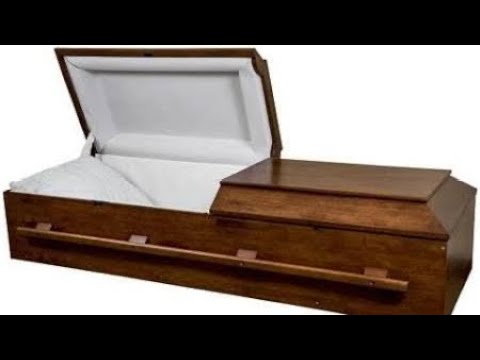 RIP MOLLY MEDUSA MEDICI