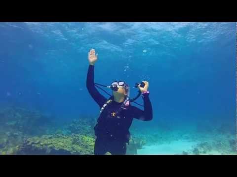 The Controlled Emergency Swimming Ascent (CESA)