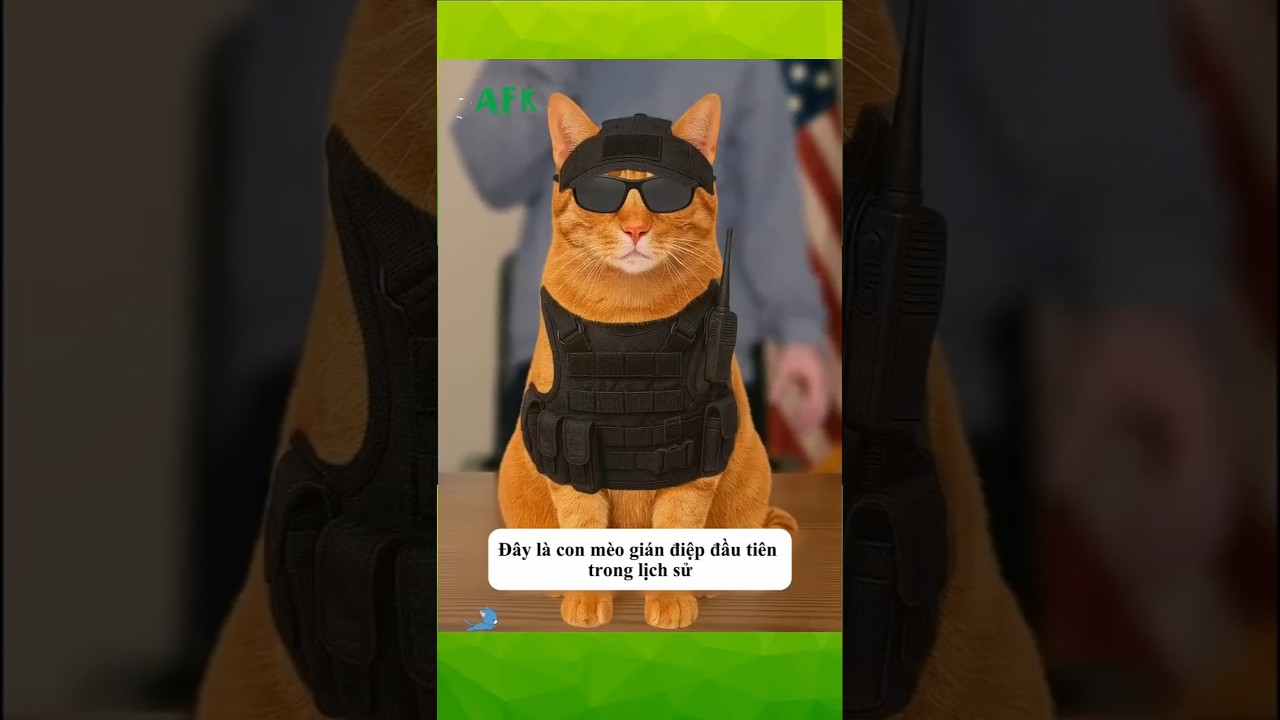 Mèo gián điệp đầu tiên lịch sử và cái kết