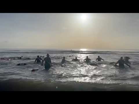 91st Annual Meninak Swim 3.5 Miles of Open Atlantic Ocean!