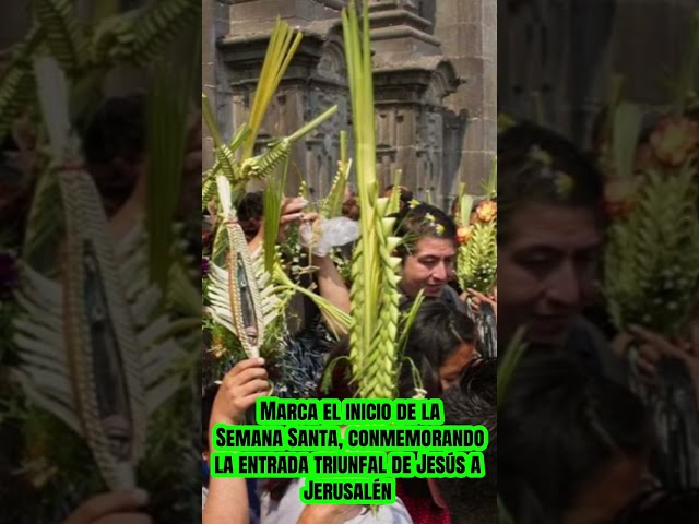 Vídeo relacionado con FUNNY CUP Camiseta Admitelo te pasas Todo el año Esperando el Domingo de Ramos. Semana Santa, para capillitas, costaleros, musicos. (M)