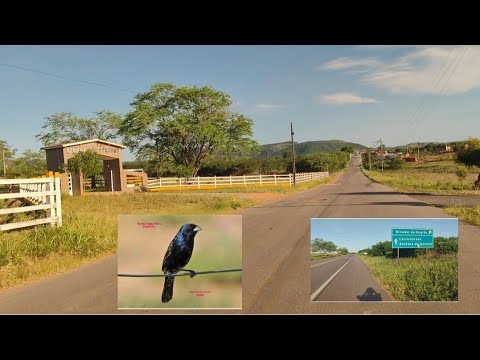 Saída BR - 316 até cidade de Minador do Negrão região do sertão de Alagoas. 15/03/2026