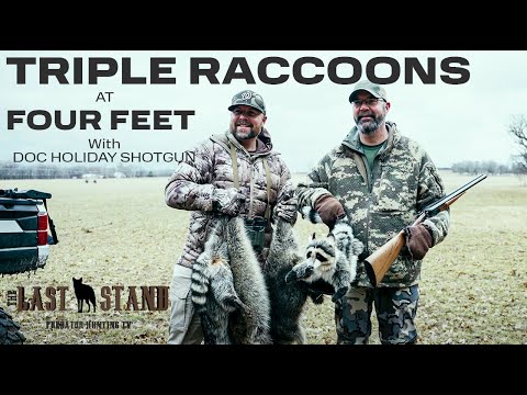 Triple On Raccoons at FOUR FEET With Doc Holiday Shotgun! | The Last Stand S5:E12