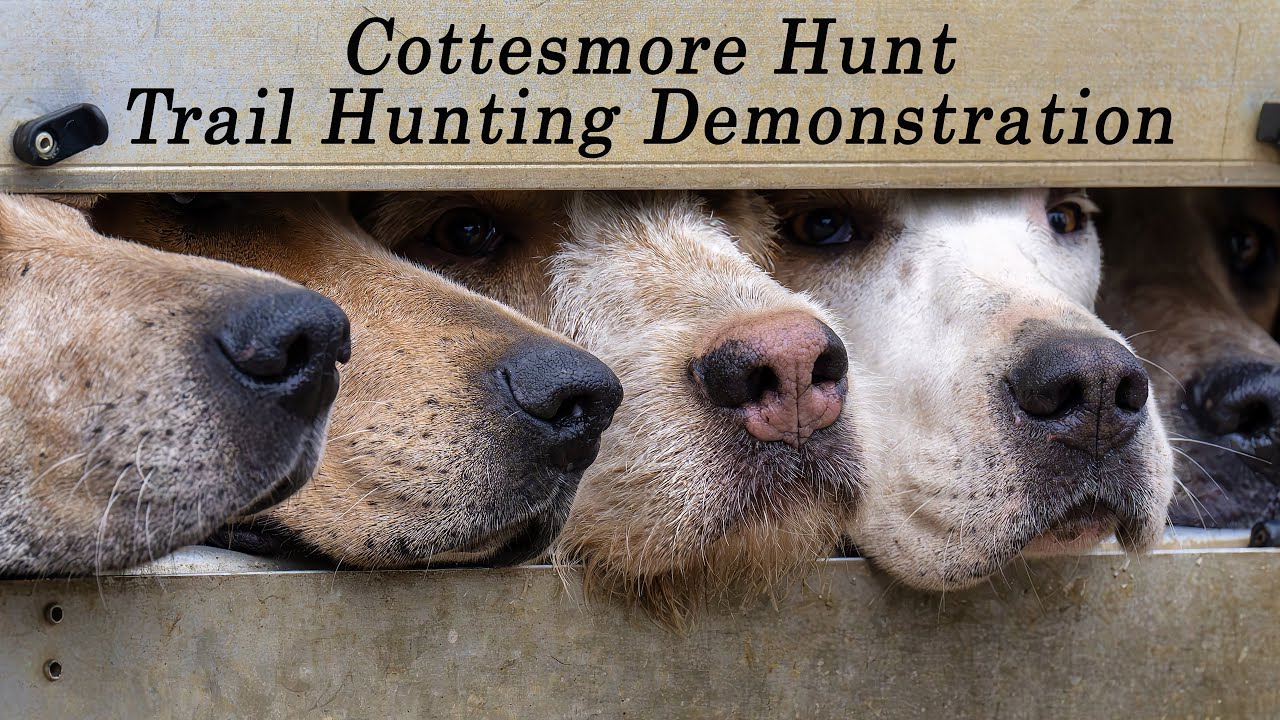 Cottesmore Hunt - Trail Hunting Demonstration