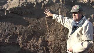 Earthquake Features - Historic Evidence in Arkansas