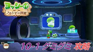 【ヨッシーとフカシギの図鑑】10-1 グミグミの生息地(何か起きてる？) 調査コンプリート【攻略/switch2】