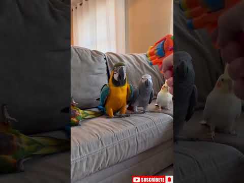 Video cover