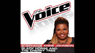 Stephanie Anne Johnson | Black Horse And The Cherry Tree | Studio Version | The Voice 5
