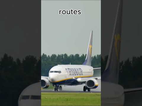 transavia vs ryanair  #planespotting #aviation  #airlines #planes#ryanair#transavia