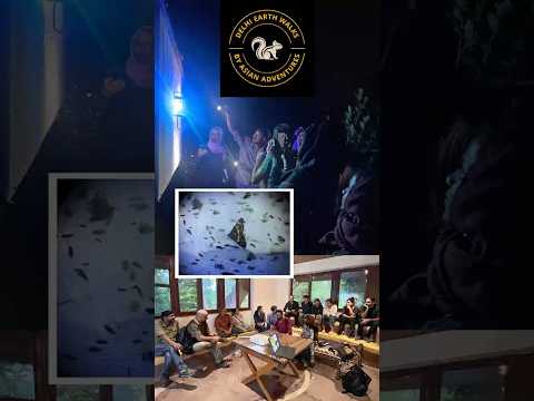 Moths lit up the night at Nehar Sahibi Farm!