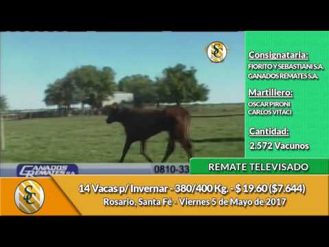 05-05-17 - Venta de Vientres - Fiorito y Sebastiani & Ganados Remates - Rosario