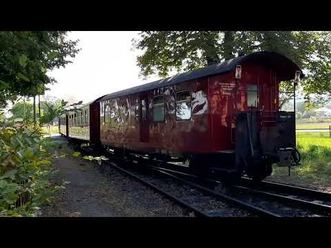 Harzer Schmalspurbahn 2023 / Die Selketalbahn (10.09.2023)