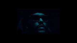 Moth to flame ,by the weeknd and SHM ,Latest snippet.