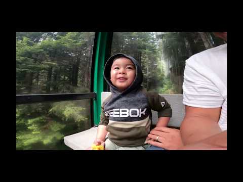 Road Trip to Northern California and Southern Oregon