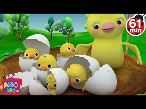 Five Little Birds + More Nursery Rhymes & Kids Songs - CoComelon