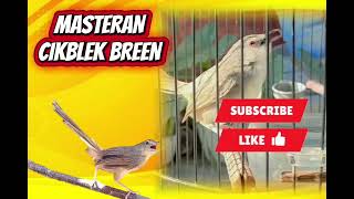 Download lagu MASTERAN PERENJAK GUNUNG / CIGUN mp3 Download lagu MASTERAN PERENJAK GUNUNG / CIGUN mp3