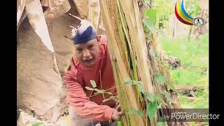 Download lagu FILM PENDEK KOMEDI MANDAR 'PACCORO MANGGA (PENCURI MANGGA' mp3 Download lagu FILM PENDEK KOMEDI MANDAR 'PACCORO MANGGA (PENCURI MANGGA' mp3