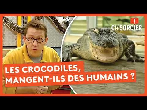 Do crocodiles eat humans? - It's not rocket science