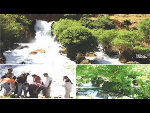 بوكي تازه fuad ahmad