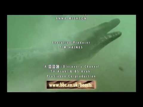 Walking with Beasts 1-5 outros