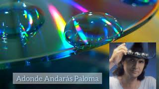 Adonde Andarás Paloma - Roberto Carlos