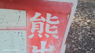(2026年4月30日)　更にゼンマイらしきものを追加しました