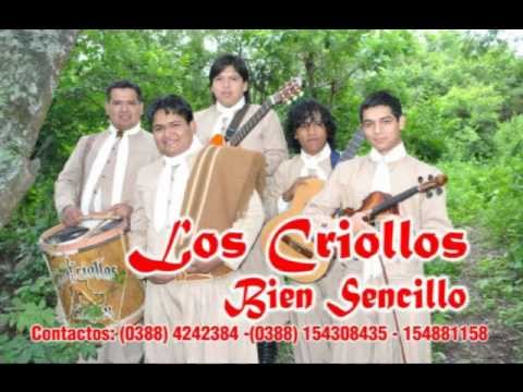 Piel De León video