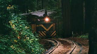 Roaring Camp Railroads 12/7/23 [4K]