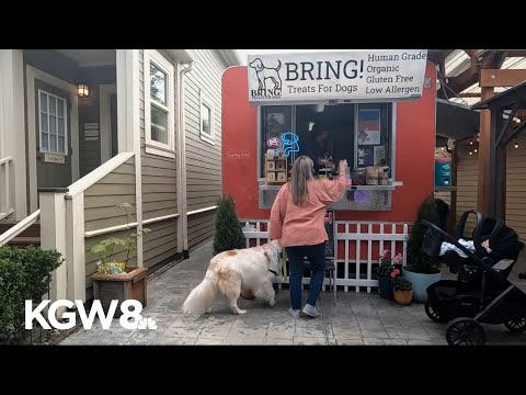 Pop-ups transformed into new brick-and-mortar locations in ...