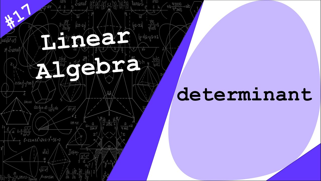 Determinant of a matrix | Linear Algebra #17