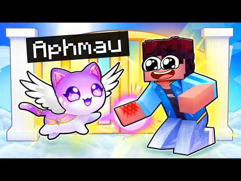 Aphmau's EPIC Minecraft Goddess Kitten Adventure!