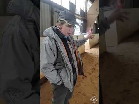 Zusammenfassung 25.11.21