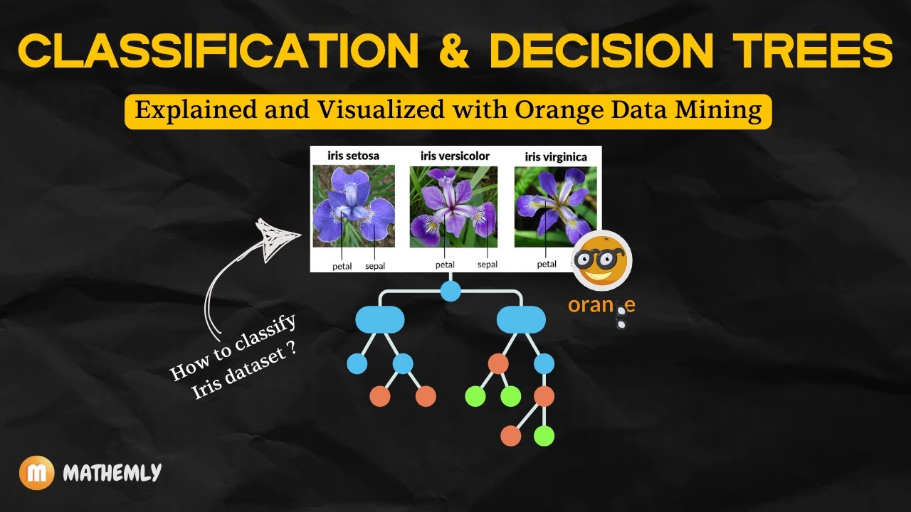 Decision Trees and Classification Clearly Explained | Orange Data Mining Tutorial