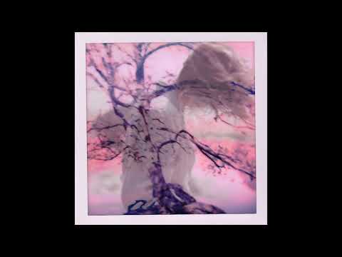 Pierce Fulton - The Move (Direct Remix)