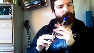 Eluveitie&#39;s Evocation II (From what i ve heard and see here and there) GRANNOS Tin Whistle Cover